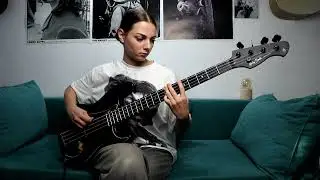Ioana Todoran - Bass Cover - Shattered - Pantera