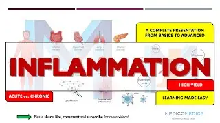 Inflammation Explained | Acute vs Chronic, Key Mediators & Drug Targets