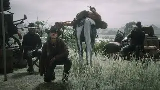 Red Dead Online Encounters