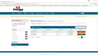 How to Pay Your Blazing SEO Invoice