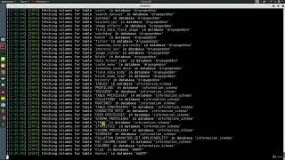55  Detecting and Exploiting SQL Injection with SQLmap