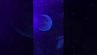 Потолок в бутике Novacolor г. Ташкент