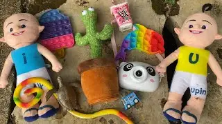 Seru Berburu BUBBLE CAMERA, Mobil Tayo, Pop Toy, Kaktus Goyang Nyangkut di Pohon