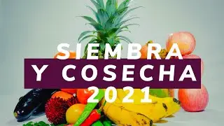 SIEMBRA Y COSECHA 2021 | JUEVES 16-12 | EBEN-EZER CDF