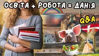 Мій досвід навчання та знаходження роботи в Данії. Відповідаю на ваші запитання.