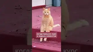 Признавайтесь, было?