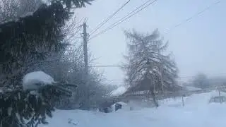17 февраля 2024 г.