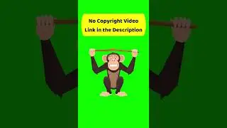 green screen,cartoon animal green screen,green screen cartoon,green screen video,green screen effect