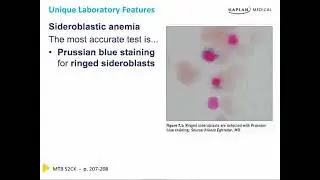 Microcytic Anaemia : Chapter 2