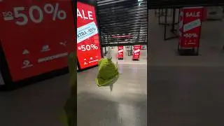 CRAWLY SPY 🤫