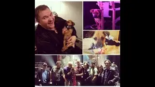 Rockdog Meat Loaf "Paradise by the Dashboard Light" Bible Study