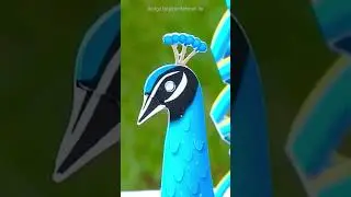 Pop-up Paper Sculpture “Peacock“ #shorts