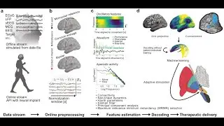 py-neuromodulation Tutorial: Neural Feature Estimation and Decoding