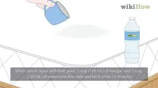 How to Get Cat Urine Out of a Mattress