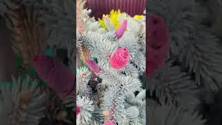 Все предложения в телеграмм,( ссылка в комментариях)