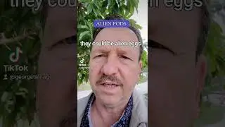 ALIEN PODS