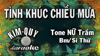 TÌNH KHÚC CHIỀU MƯA - KARAOKE - Tone NỮ Trầm ( Bm/Si Thứ )