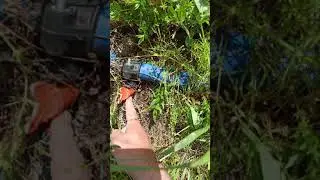 Ceviz bahçesi 1