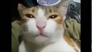мама