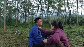 CEO Ha is determined to start a new farm, even though things are going badly.