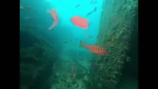 Wreck penetration, dark side dive in Gibraltar