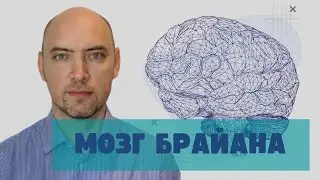 Как устроен мозг Брайана? Душкин объяснит ☝️