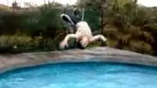 Kazuki bak flip