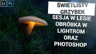 Obróbka zdjęcia w Adobe Lightroom i Photoshop / Świetlisty grzybek Nauka fotografii