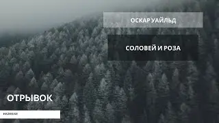 Оскар Уайльд – «Соловей и Роза»