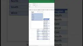 #excel data filter in Excel