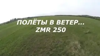 АЭРОДРОМ ПОЛЁТЫ - ZMR 250