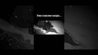 2024... что приготовишь ты?