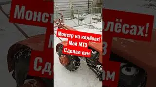 Monster on wheels, My MTZ walk-behind tractor. Made by myself 