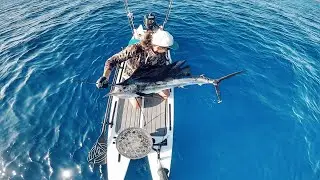 Epic sailfish caught on my livewatersports 😎🔥🎣🎣