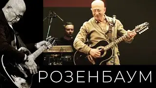 Александр Розенбаум – Утиная охота 