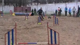 берси 2
