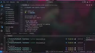 Dynamic and static typing in Python  Functions 