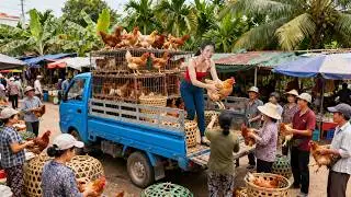 299 Days Harvesting A Lot Chicken, Giant Apple Snail Go To Village Market Sell | Dao’s Country Life