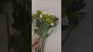Букеты в спиральной технике