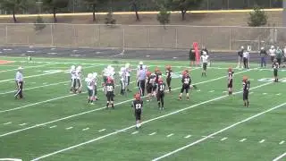 1st Quarter
