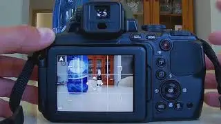 How to focus a specific subject or a specific area with Nikon Coolpix P900 Autofocus