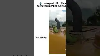 Kawan Baru #mahklukhidup