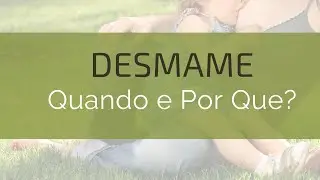 DESMAME - Quando e Como Fazer?