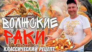 РАКИ ВАРЁНЫЕ в КАЗАНЕ на КОСТРЕ//КЛАСCИЧЕСКИЙ РЕЦЕПТ ВАРЁНЫХ РАКОВ//#teamправильнаяподсечка