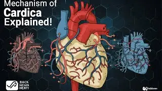 Mechanism of Cardiac Edema || General Pathology || Patho Past Papers || Robbins || Hemodynamics