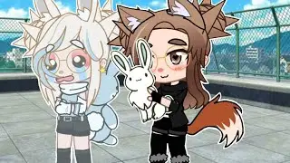 Новый питомец? ➫ Gacha life| Gacha club | meme