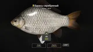 р. Белая | ТРОФ Карась | русская рыбалка 4